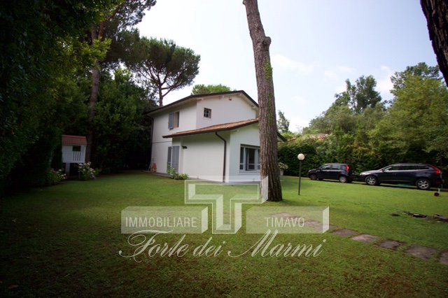 Immagine 5