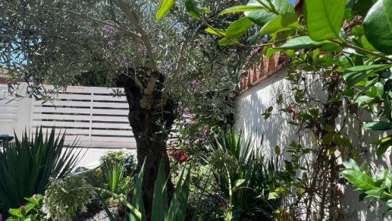 Casa bifamiliare in venditaForte Dei Marmi