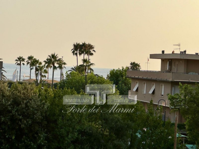 Immagine 8