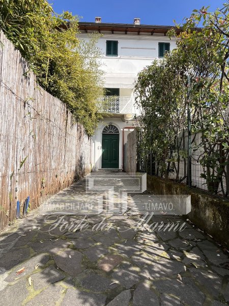 Immagine 2