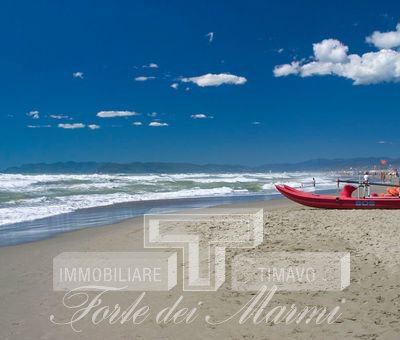 Immagine 23