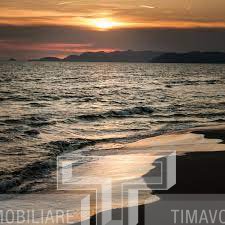 Immagine 36