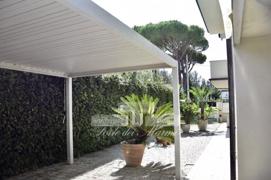 Immagine 4