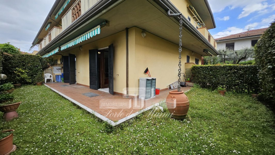 Immagine 6