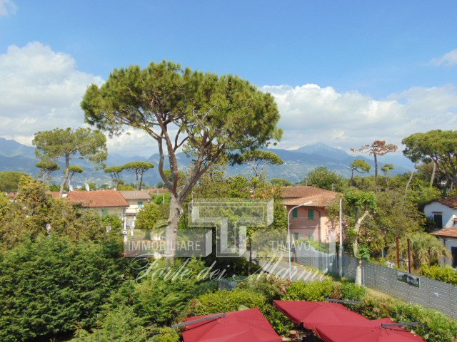 Immagine 22