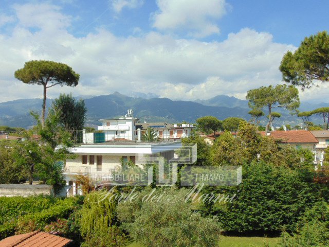 Immagine 23